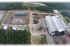 Microsoft PowerPoint - Thai Palm Oil - Overview.pptx