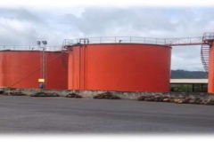Microsoft PowerPoint - Thai Palm Oil - Overview.pptx
