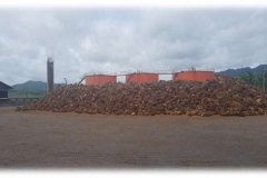 Microsoft PowerPoint - Thai Palm Oil - Overview.pptx